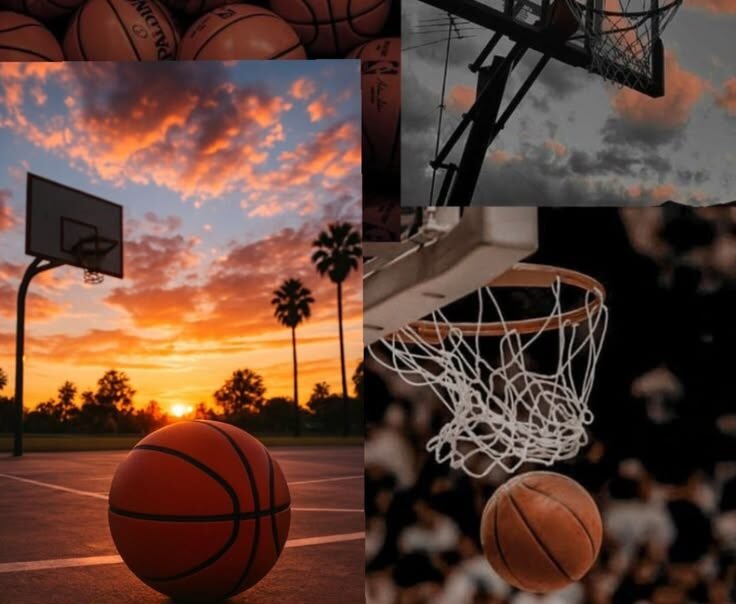 Bourgo Arena Basketball